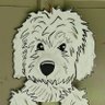 doggone 的头像