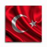 Alper Can 🇹🇷's profile picture