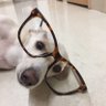 Profilbild von きなこ