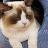pye34878 profil fotoğrafı