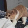 bnnuy ⁷ profil fotoğrafı