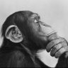 Profilbild von EL MAMO