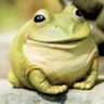Profilbild von neofroggo