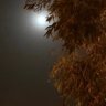 Фото профиля نوره