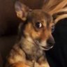 efoubief's profile picture