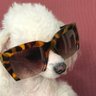 Małgorzata profil fotoğrafı
