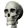 Unprofessional Skeleton's profile picture