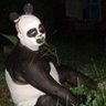 John Slow's profile picture
