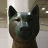 次は万博返上、カジノIR阻止や's profile picture