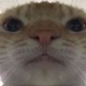 Uncle bobby's profile picture