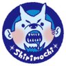 関根しりもち profil fotoğrafı