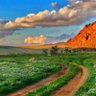 abu sami 的头像