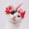 𓊇𓊆 A•Tit 𓊇𓊆⁵³¹⁷¹⁷'s profile picture