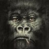 это я сейчас злой, а вообще я добрый's profile picture