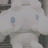 ぷりてぃきゅあきゅあてんしてゃん profil fotoğrafı