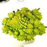Romanesco Broccoli's profile picture