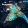 Profilbild von Mermaid Life