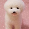 n.n.n's profile picture