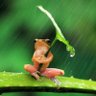 Фото профиля fer marco