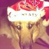 Muttley13 profil fotoğrafı