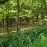 Фото профиля Rali BenRali