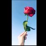 Latifah-M💕's profile picture