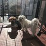 Labety14 profil fotoğrafı