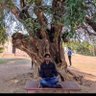 Abhishek Nihal's profile picture