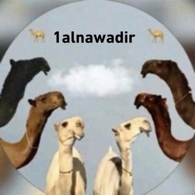 1alnawadir's profile picture