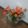 hiropiyo profil fotoğrafı