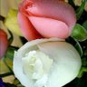 Фото профиля صالح منصور