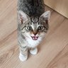Profilbild von Czarna_Śmierć_w_3D