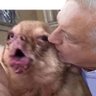fer castro profil fotoğrafı