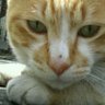 ま profil fotoğrafı