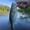 DMac9211's profile picture