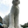 Profilbild von bouboumaru