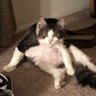 Sean's profile picture