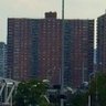 Harlem2Hollywood 的头像