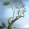 Tran Minh Khoi's profile picture
