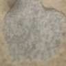 Putra's profile picture