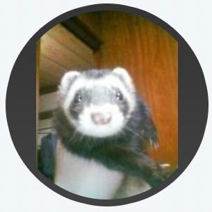 ken_zi88's profile picture