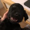 Joe profil fotoğrafı