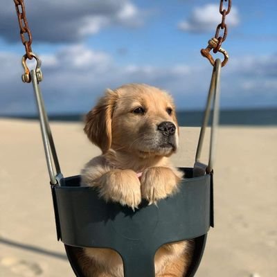 meghamehta8488's profile picture