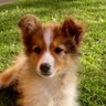 Profilbild von Burt AR
