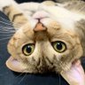 みずき profil fotoğrafı