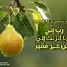 Фото профиля Mhd masaad