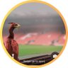 Stephen McDonough's profile picture