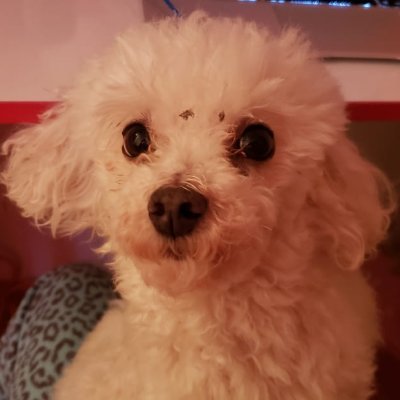JennyKai311's profile picture