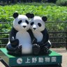 ウサぴょん profil fotoğrafı