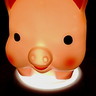 いかすみたこやき＠RyugoA's profile picture